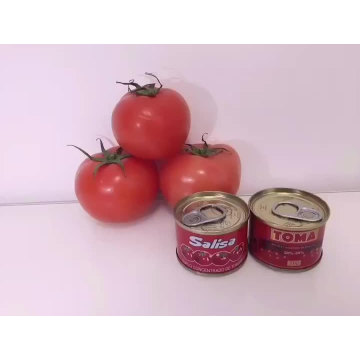fábrica chinesa 28% a 30% brix fábrica chinesa cor vermelha super natural 70g 210g 400g 800g 2200g lata Pasta de tomate ketchup de tomate